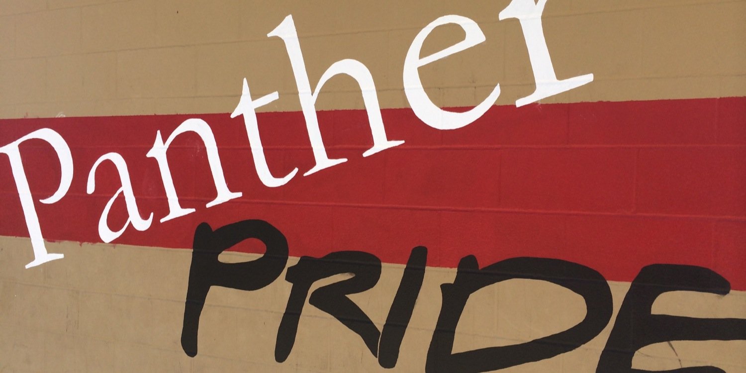 CHMSPanthers's profile banner image
