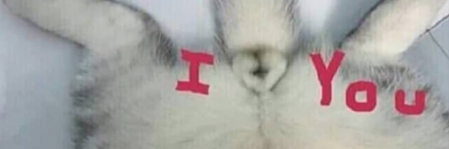 Violko's profile banner image