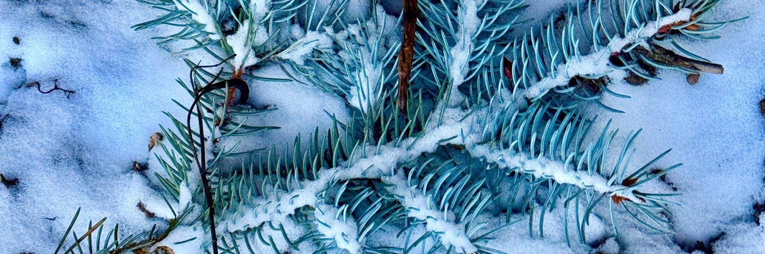 michaelusling's profile banner image