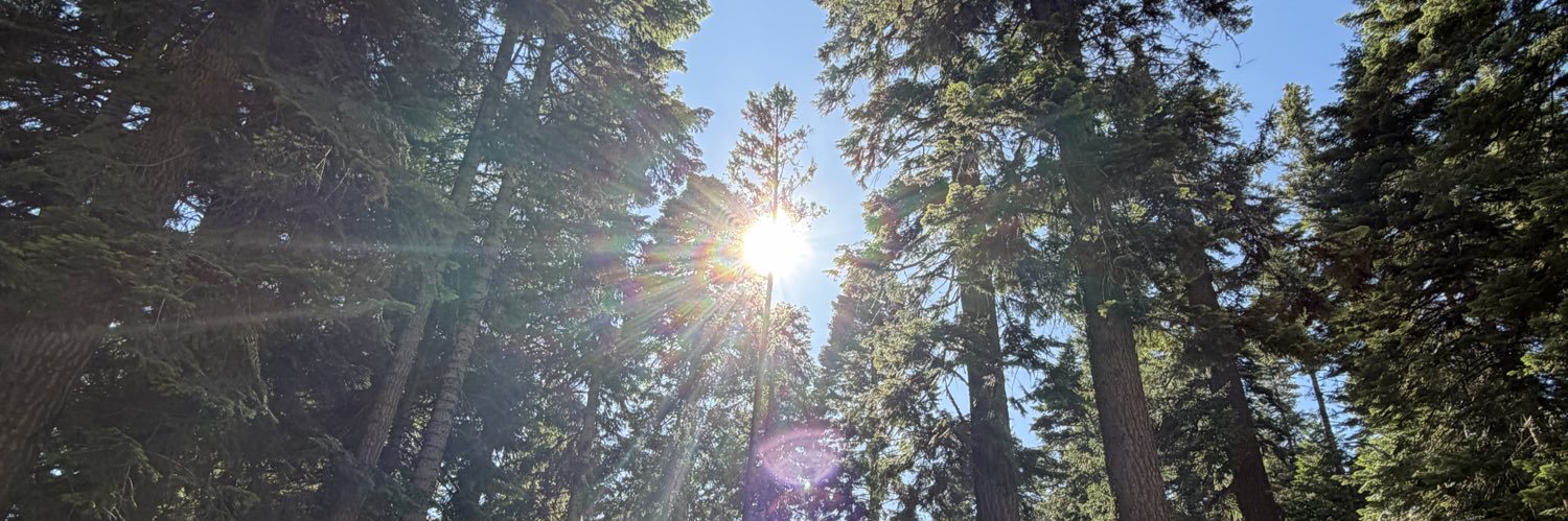 AlliTaylor20's profile banner image