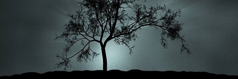 AndrewDiDona's profile banner image