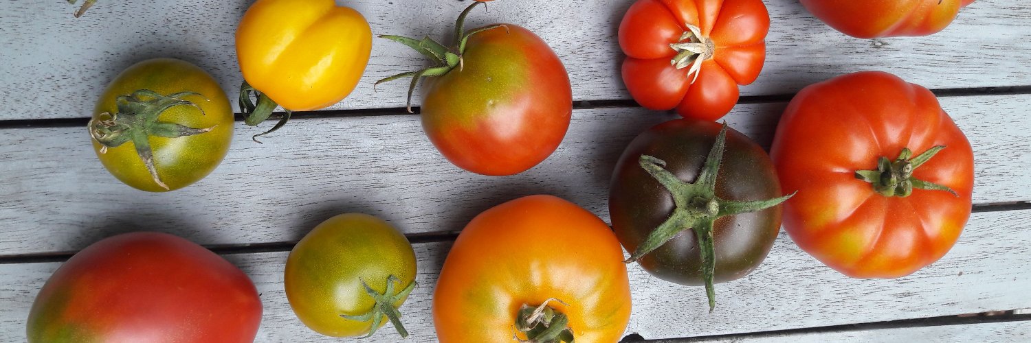 Stephanie Wunder banner