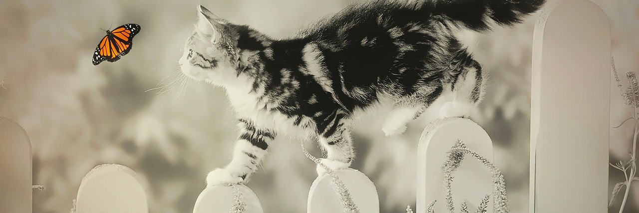 Educación TIC banner