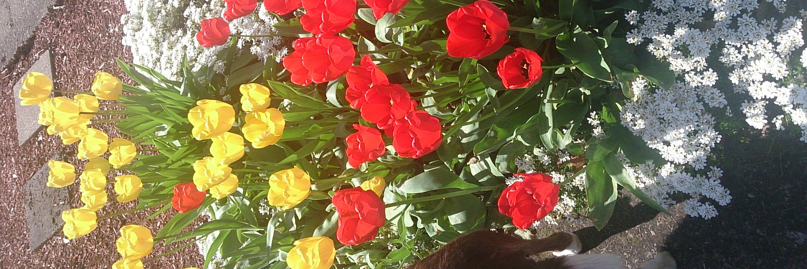 Erin_Everyday's profile banner image