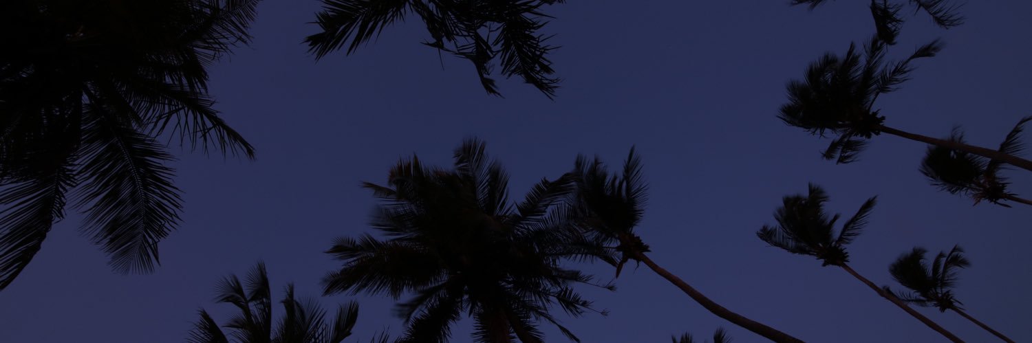 rojaserp1's profile banner image