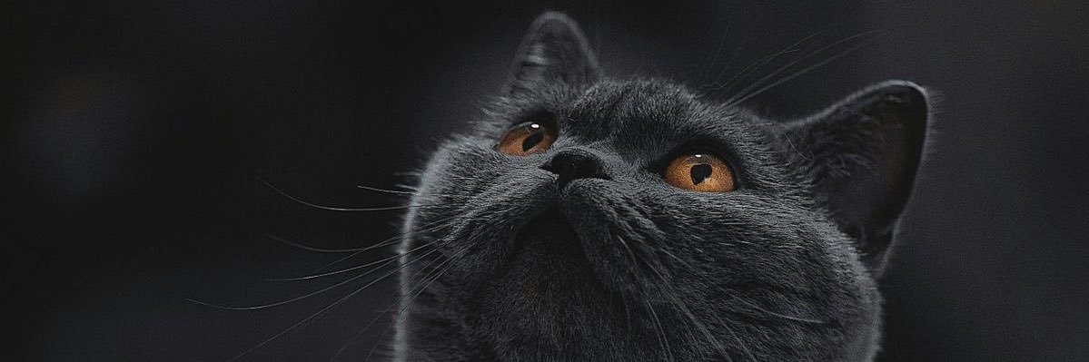 anwarnasser93's profile banner image