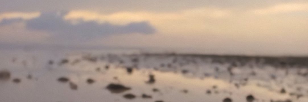 seelepein's profile banner image