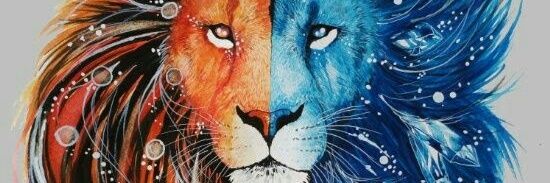 LMuchison's profile banner image