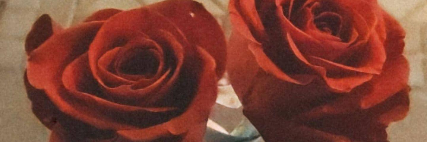LauCJauregui's profile banner image
