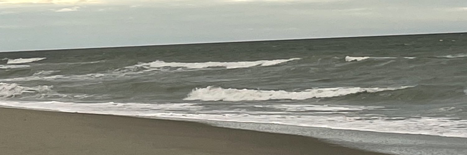 dawnmoody's profile banner image