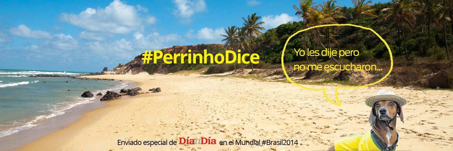perrinho_dad's profile banner image
