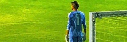 Tom Le Tissier banner