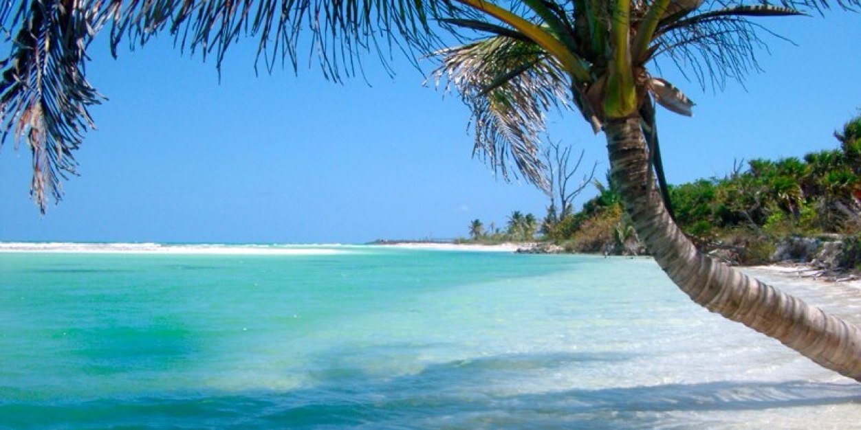 incufiend's profile banner image