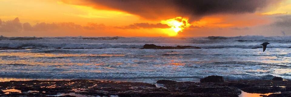 San Mateo County Parks banner
