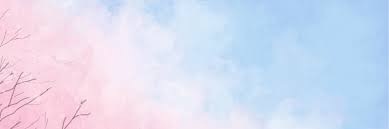SmartGirlBut's profile banner image