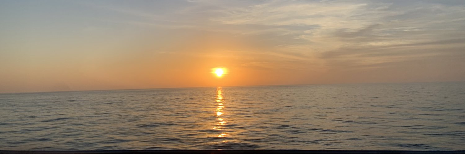 Swiftly_123's profile banner image
