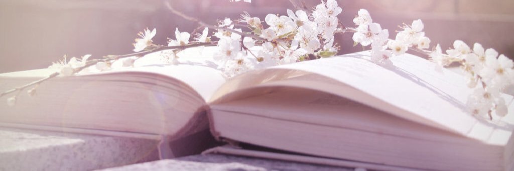 BooktubeUpdates's profile banner image
