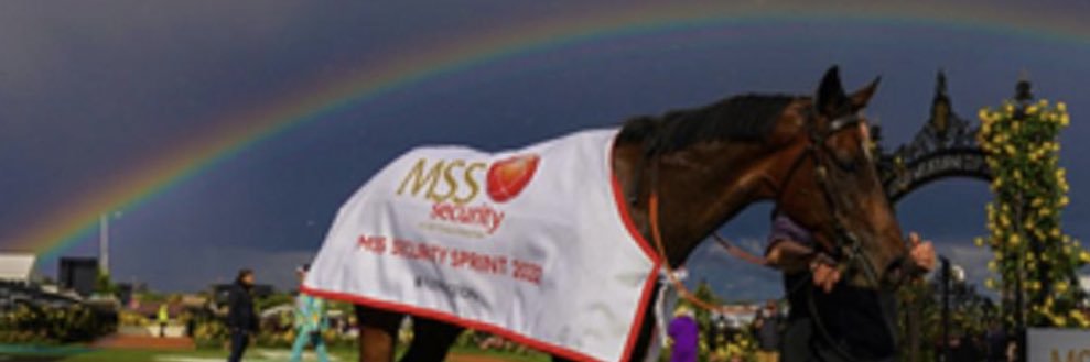 amitch74's profile banner image