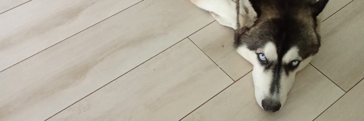 andresect96's profile banner image