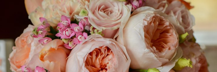 CailliKerr's profile banner image