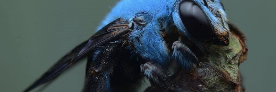 spunkspade's profile banner image