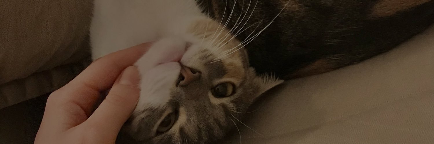 berfinyilddirim's profile banner image