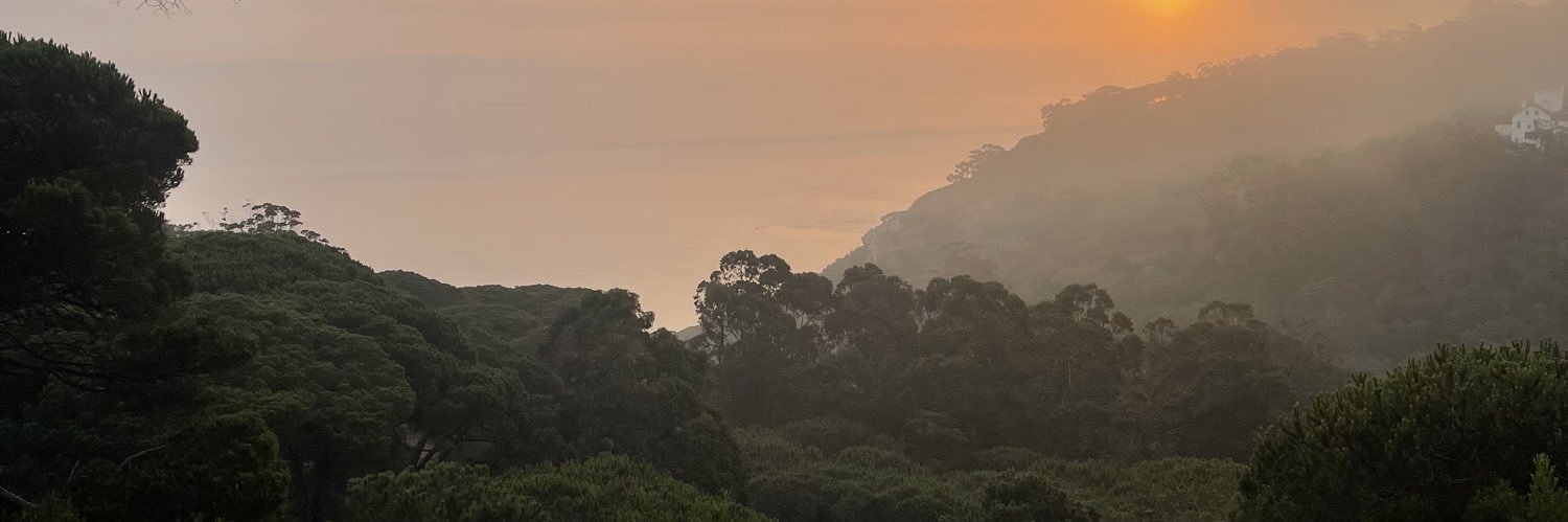 saudbasha's profile banner image