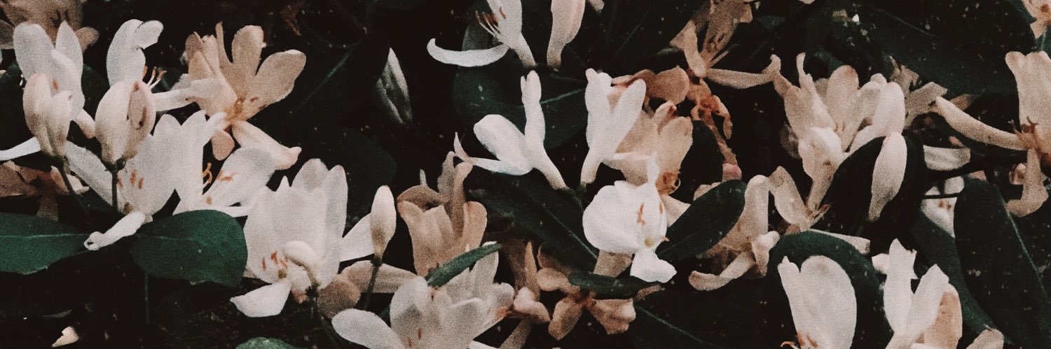 sendmefries's profile banner image