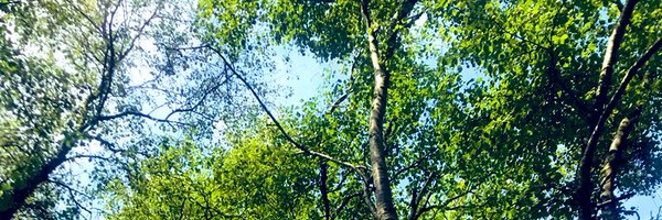 JenOFee Profile Banner