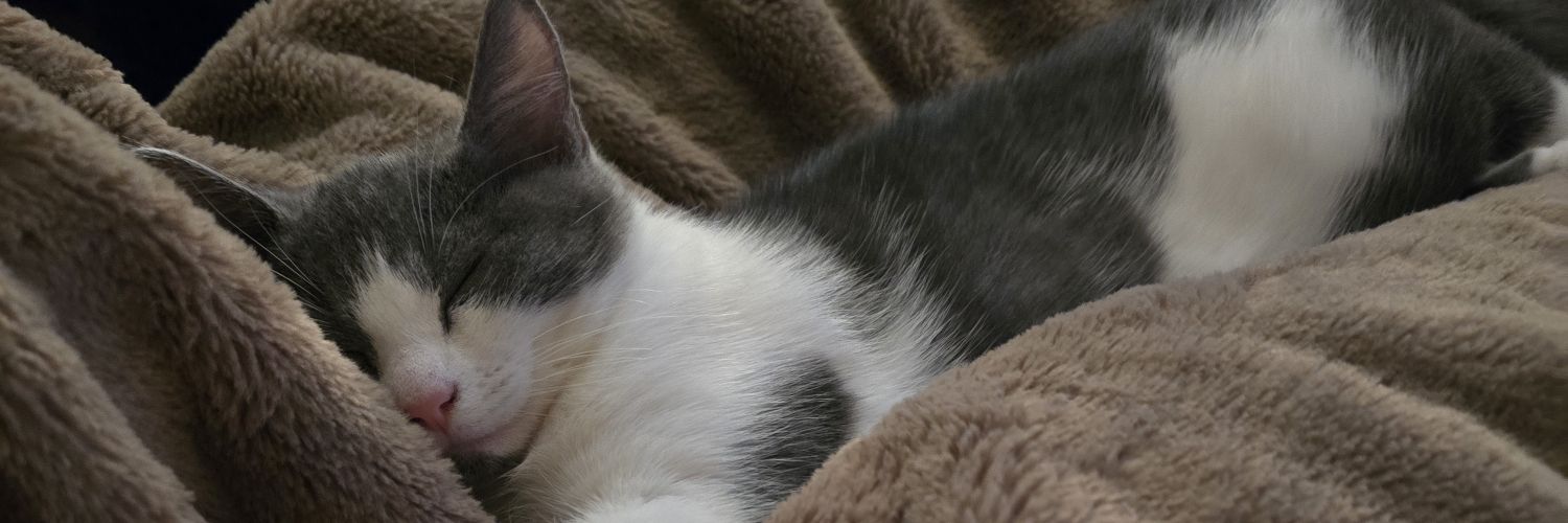 ❤️🧋 Teresa 🧋❤️ banner