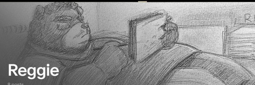 ReggieBearBear's profile banner image