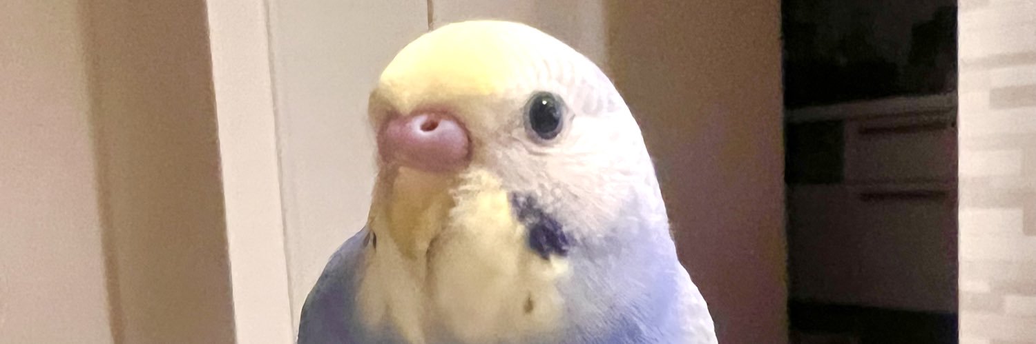 monhima's profile banner image