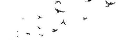 stylesacoustic's profile banner image