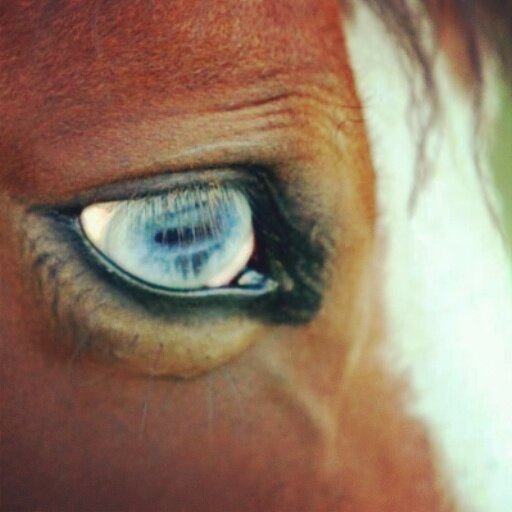 ValiRebollo's profile banner image