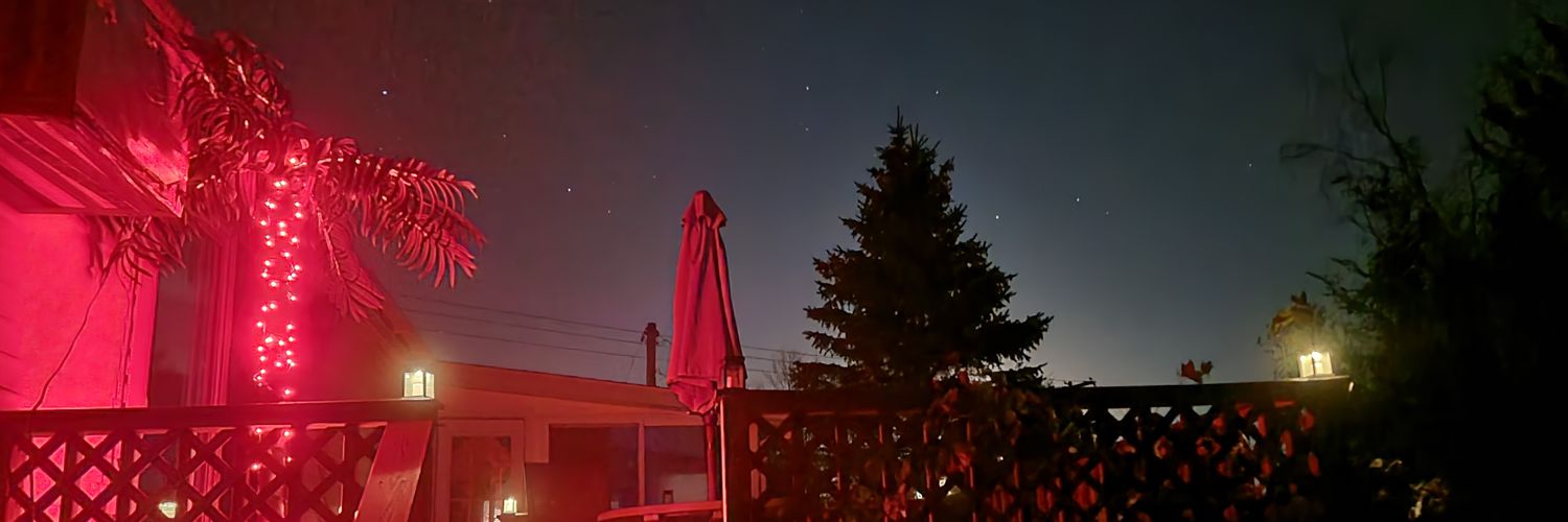 RingsTheRover's profile banner image