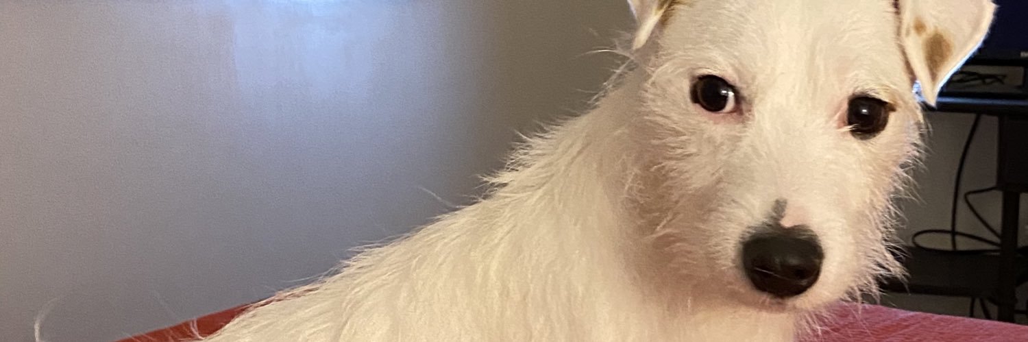 MPilar18's profile banner image