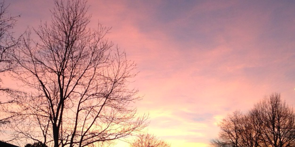 MyLifeAsEmilee's profile banner image