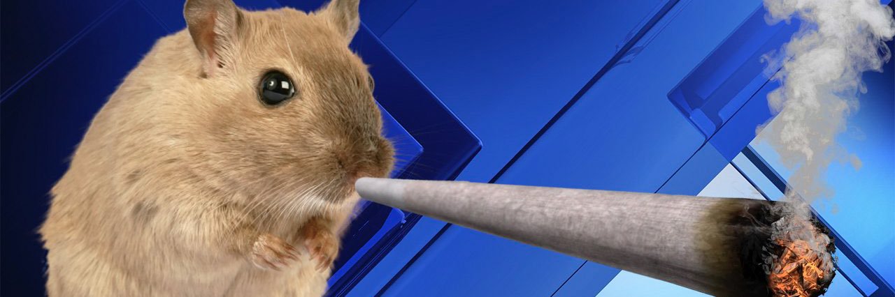 jonxly's profile banner image