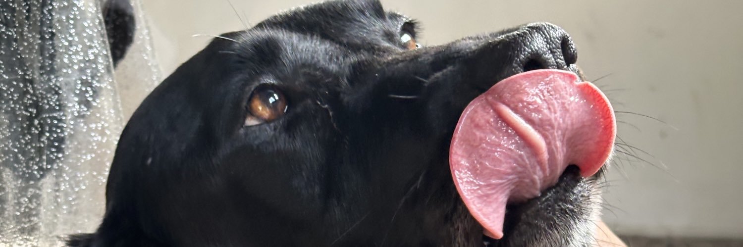 nanisnotess's profile banner image