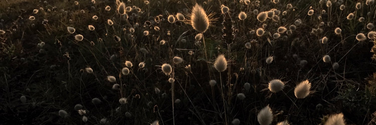 minoudesiles's profile banner image