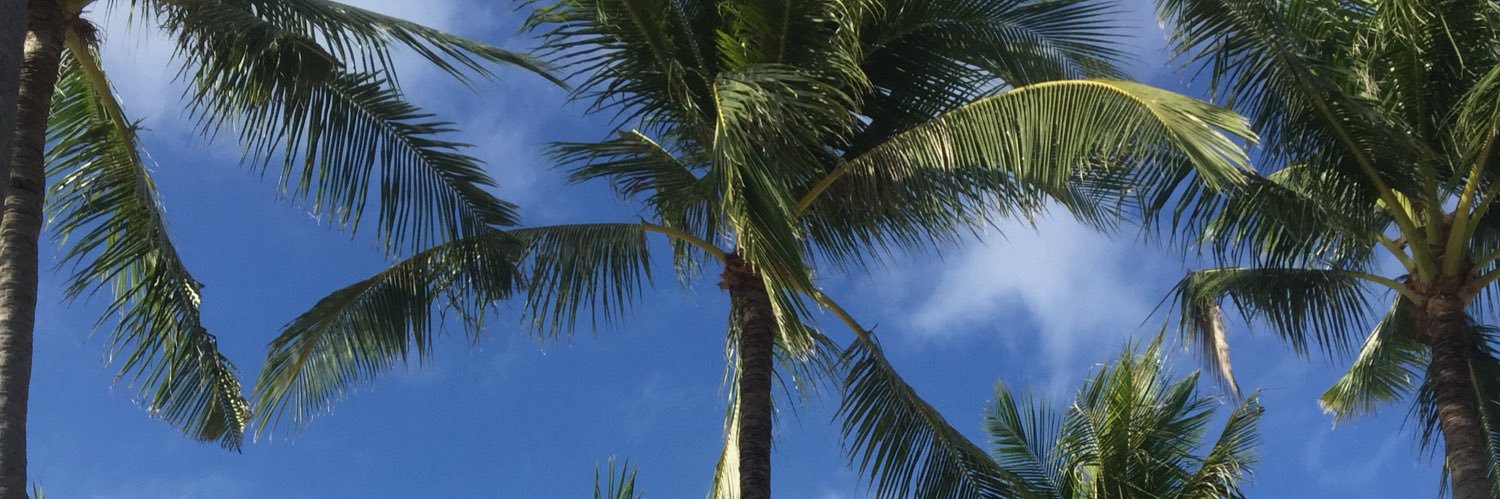 geraxgllrm_'s profile banner image
