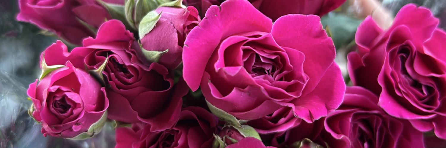 layaTay_'s profile banner image