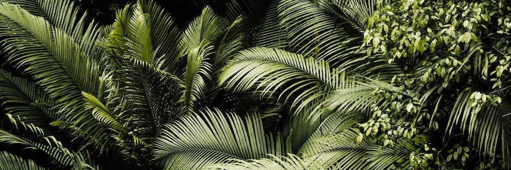 Sharnae_B's profile banner image