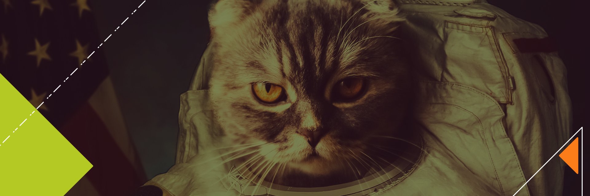 papirowski's profile banner image