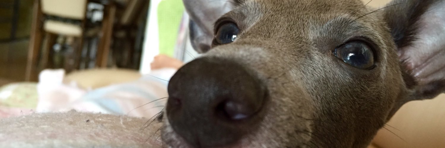 yukeeeey's profile banner image