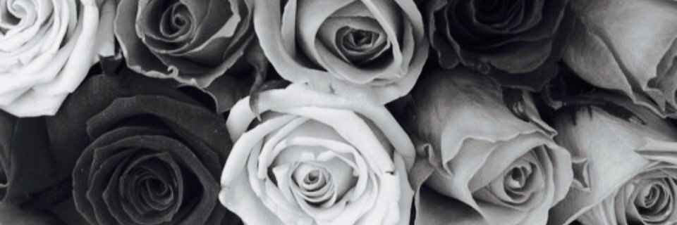lliowynjones's profile banner image