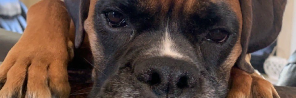 REGER19's profile banner image