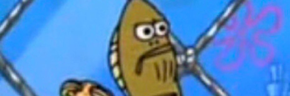 ANGRY BENGALS FAN banner