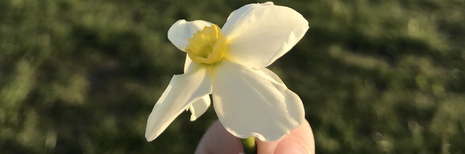 HarperHamiltonn's profile banner image