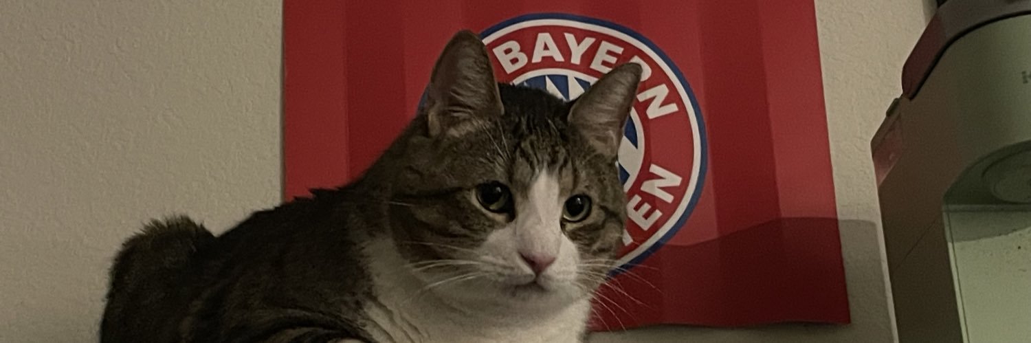 Ronda Pohner, M.ED banner